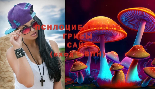 дурь Богородицк