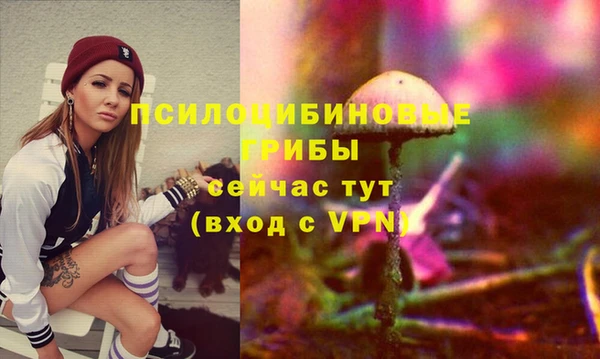 мяу мяу кристалл Богданович