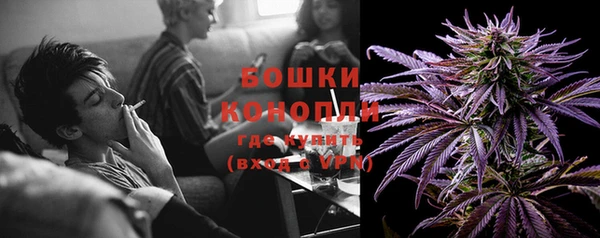 дурь Богородицк