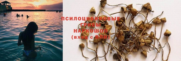 дурь Богородицк