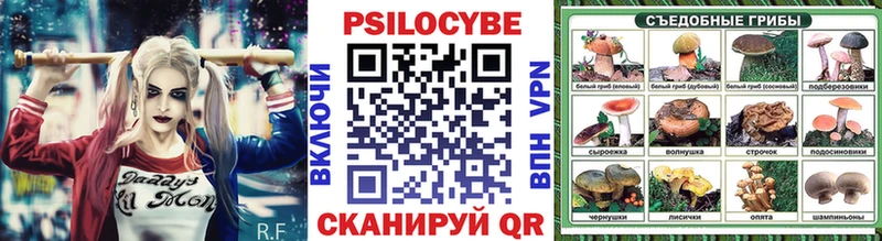 где найти   Дмитровск  Галлюциногенные грибы MAGIC MUSHROOMS 